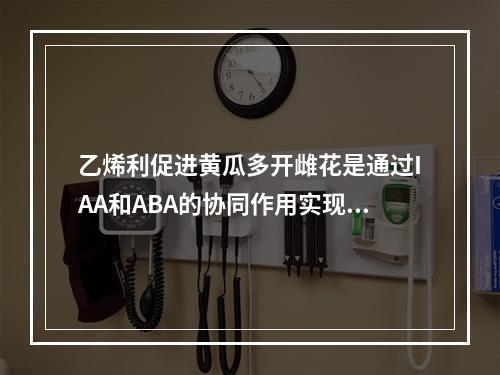 乙烯利促进黄瓜多开雌花是通过IAA和ABA的协同作用实现的。