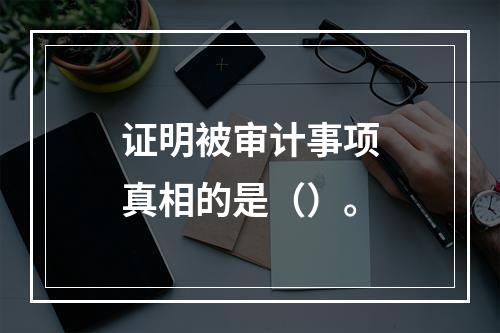 证明被审计事项真相的是（）。