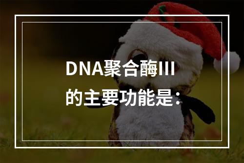 DNA聚合酶Ⅲ的主要功能是：