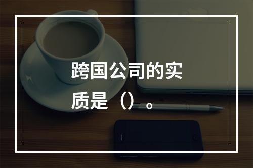 跨国公司的实质是（）。