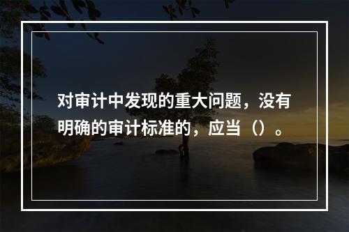 对审计中发现的重大问题，没有明确的审计标准的，应当（）。