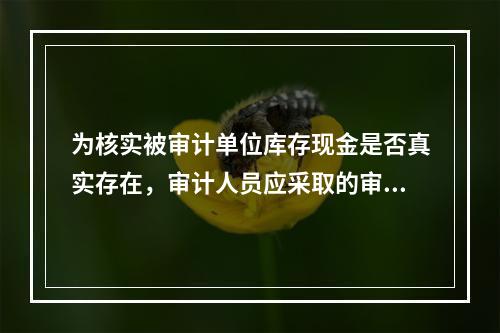 为核实被审计单位库存现金是否真实存在，审计人员应采取的审计程