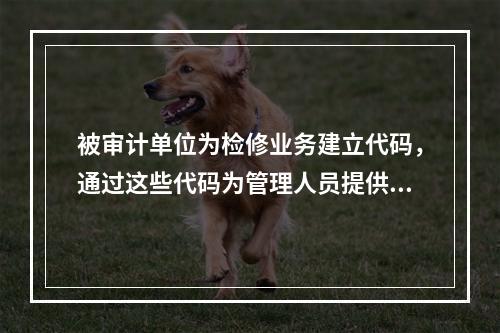 被审计单位为检修业务建立代码，通过这些代码为管理人员提供相关