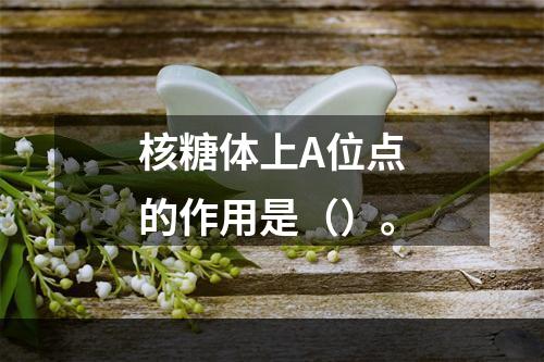 核糖体上A位点的作用是（）。