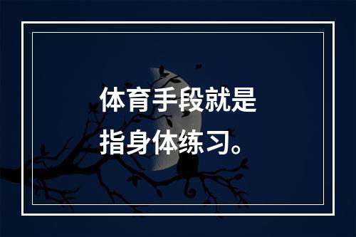 体育手段就是指身体练习。