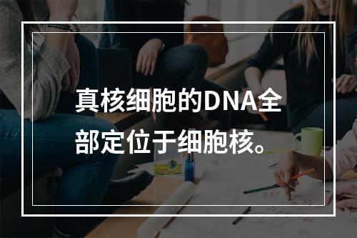 真核细胞的DNA全部定位于细胞核。