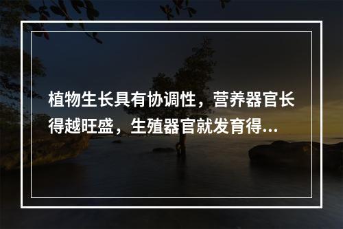 植物生长具有协调性，营养器官长得越旺盛，生殖器官就发育得越好