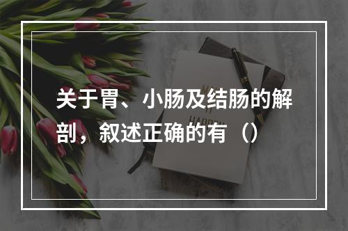 关于胃、小肠及结肠的解剖，叙述正确的有（）