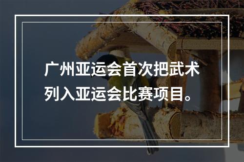 广州亚运会首次把武术列入亚运会比赛项目。