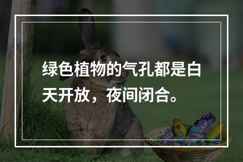 绿色植物的气孔都是白天开放，夜间闭合。