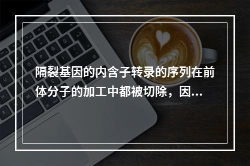 隔裂基因的内含子转录的序列在前体分子的加工中都被切除，因此可