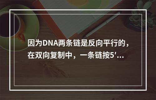 因为DNA两条链是反向平行的，在双向复制中，一条链按5′→3