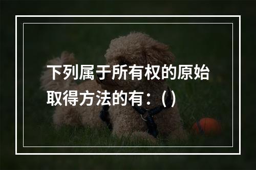 下列属于所有权的原始取得方法的有：( )