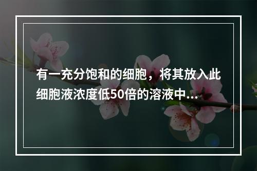 有一充分饱和的细胞，将其放入此细胞液浓度低50倍的溶液中，则