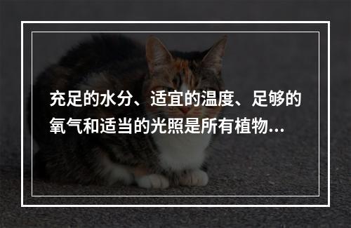 充足的水分、适宜的温度、足够的氧气和适当的光照是所有植物种子