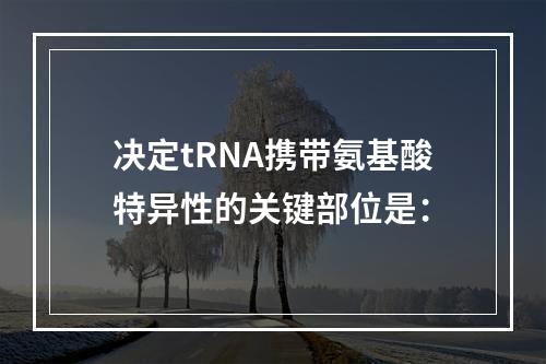 决定tRNA携带氨基酸特异性的关键部位是：