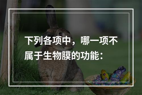 下列各项中，哪一项不属于生物膜的功能：