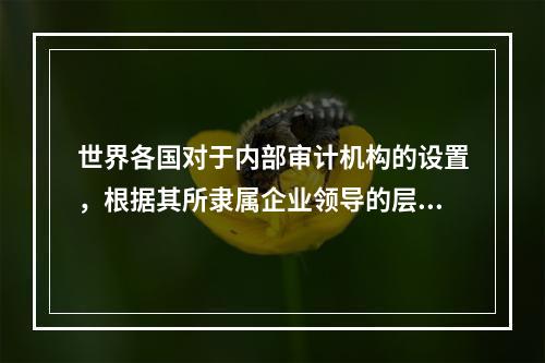 世界各国对于内部审计机构的设置，根据其所隶属企业领导的层次不