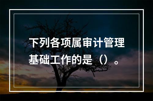 下列各项属审计管理基础工作的是（）。