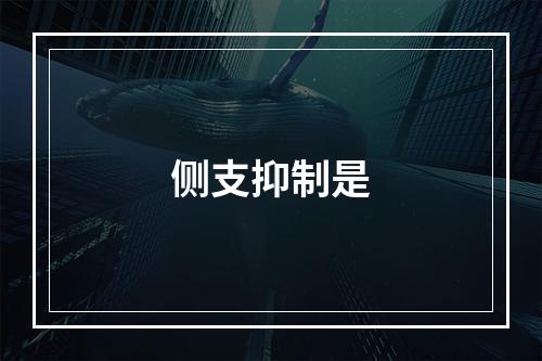 侧支抑制是