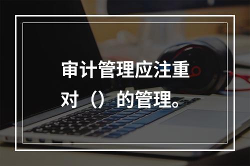 审计管理应注重对（）的管理。