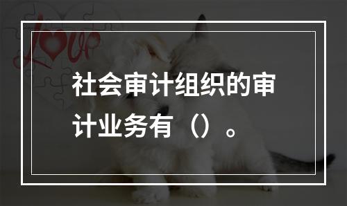 社会审计组织的审计业务有（）。