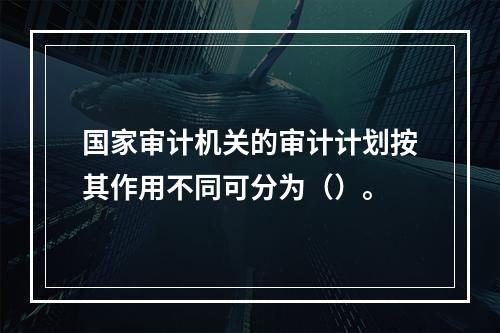 国家审计机关的审计计划按其作用不同可分为（）。