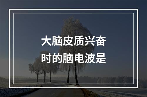 大脑皮质兴奋时的脑电波是