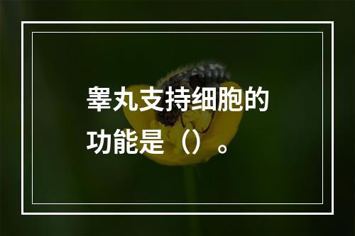 睾丸支持细胞的功能是（）。