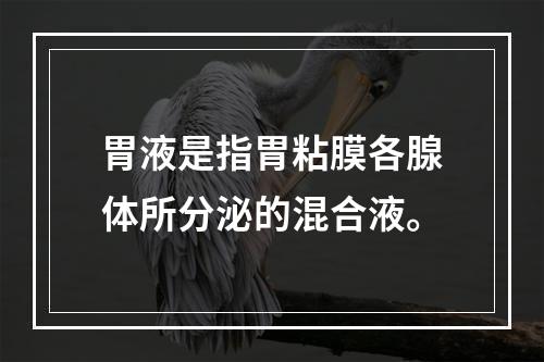 胃液是指胃粘膜各腺体所分泌的混合液。