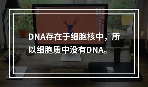 DNA存在于细胞核中，所以细胞质中没有DNA。