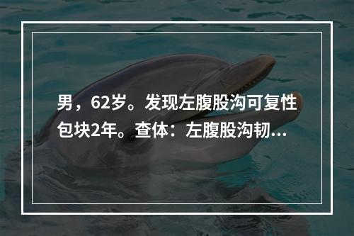 男，62岁。发现左腹股沟可复性包块2年。查体：左腹股沟韧带上