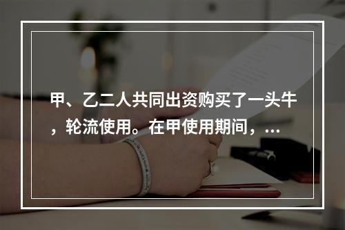 甲、乙二人共同出资购买了一头牛，轮流使用。在甲使用期间，一天