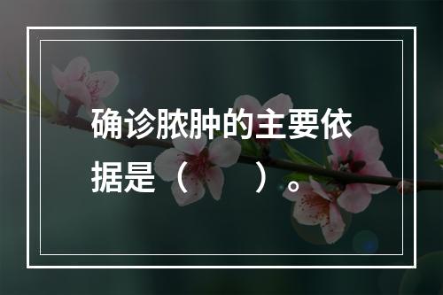 确诊脓肿的主要依据是（　　）。