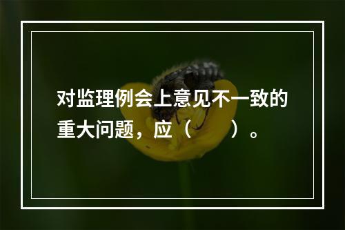 对监理例会上意见不一致的重大问题，应（　　）。