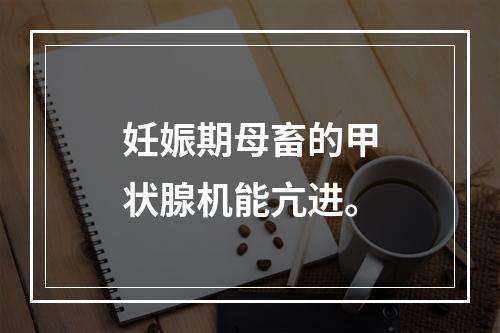 妊娠期母畜的甲状腺机能亢进。