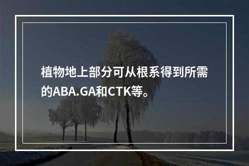 植物地上部分可从根系得到所需的ABA.GA和CTK等。