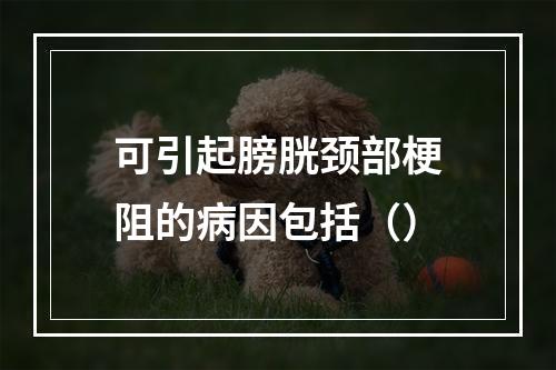 可引起膀胱颈部梗阻的病因包括（）