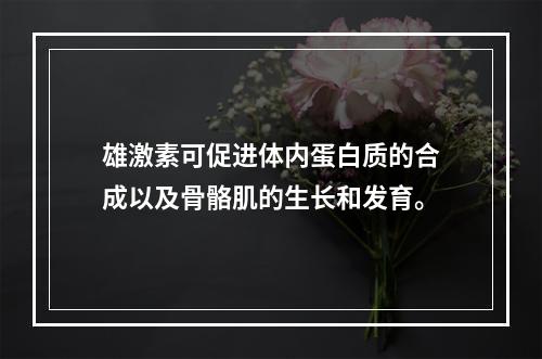 雄激素可促进体内蛋白质的合成以及骨骼肌的生长和发育。