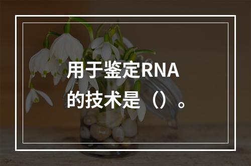 用于鉴定RNA的技术是（）。