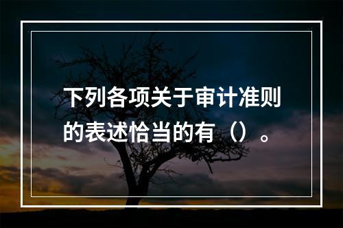 下列各项关于审计准则的表述恰当的有（）。