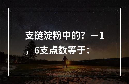 支链淀粉中的？－1，6支点数等于：