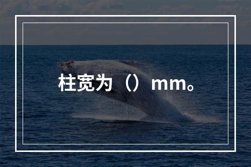 柱宽为（）mm。