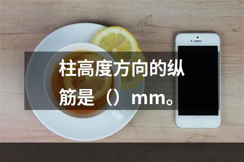 柱高度方向的纵筋是（）mm。