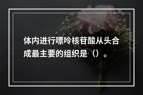 体内进行嘌呤核苷酸从头合成最主要的组织是（）。