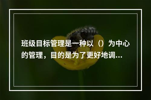 班级目标管理是一种以（）为中心的管理，目的是为了更好地调动被