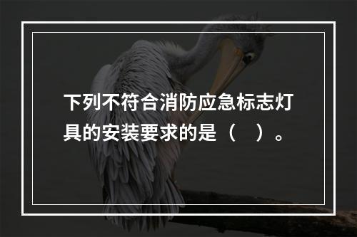 下列不符合消防应急标志灯具的安装要求的是（　）。