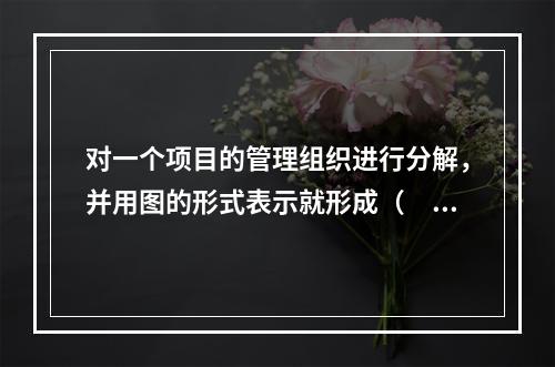 对一个项目的管理组织进行分解，并用图的形式表示就形成（　）。