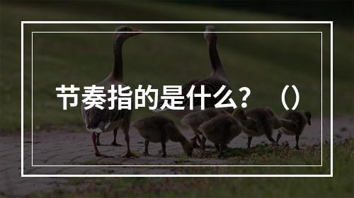 节奏指的是什么？（）