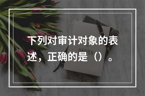 下列对审计对象的表述，正确的是（）。